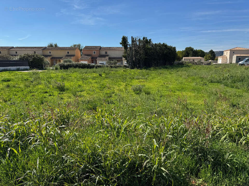 Terrain 350 m² à Vedene  - photo 3