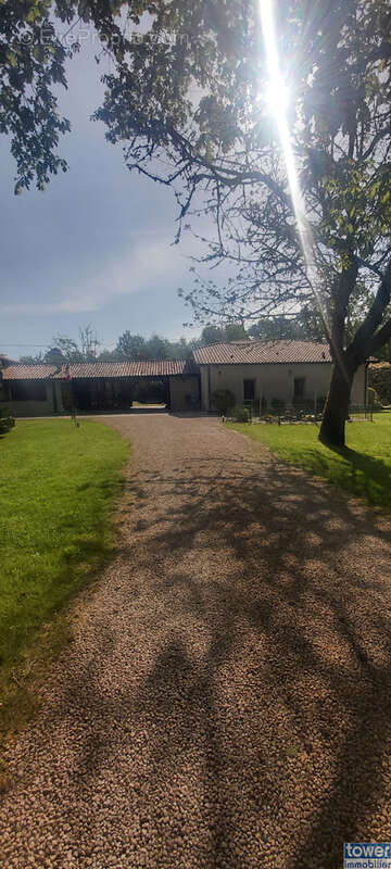 Maison à MOUSTEY