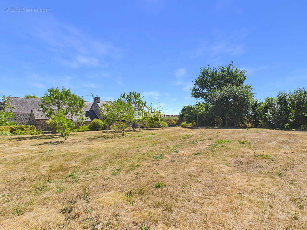 PLEYBEN - EXCLUSIVITÉ - Maison - 5 pièces 100 m² - photo 3