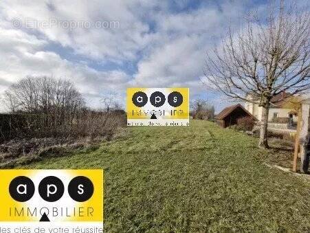 Terrain à POLIGNY