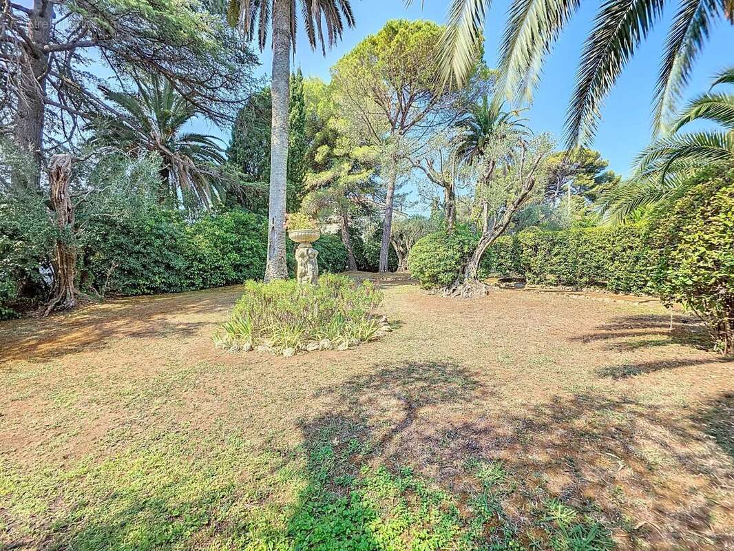 PROCHE CANNET MAIRIE : Superbe 4 pièces en rez-de-jardin avec 122 m² d’extérieur - photo 16