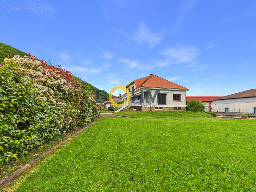 Maison à MASSIAC