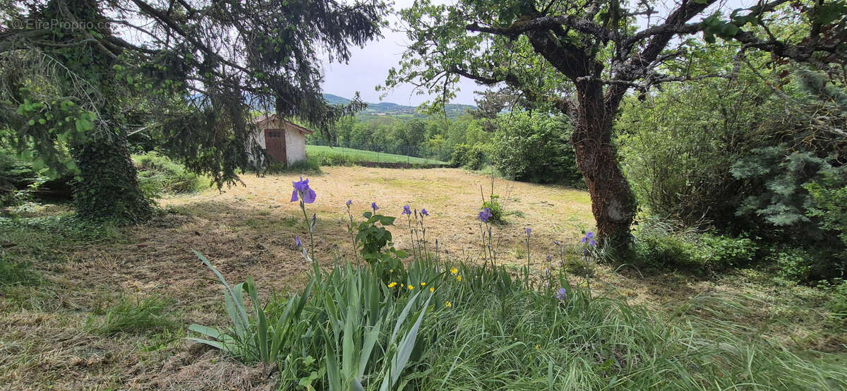 Maison à LA TOUR-DE-SALVAGNY