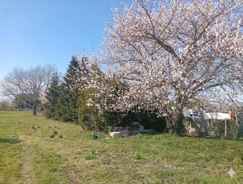 Maison à LA TOUR-DU-CRIEU