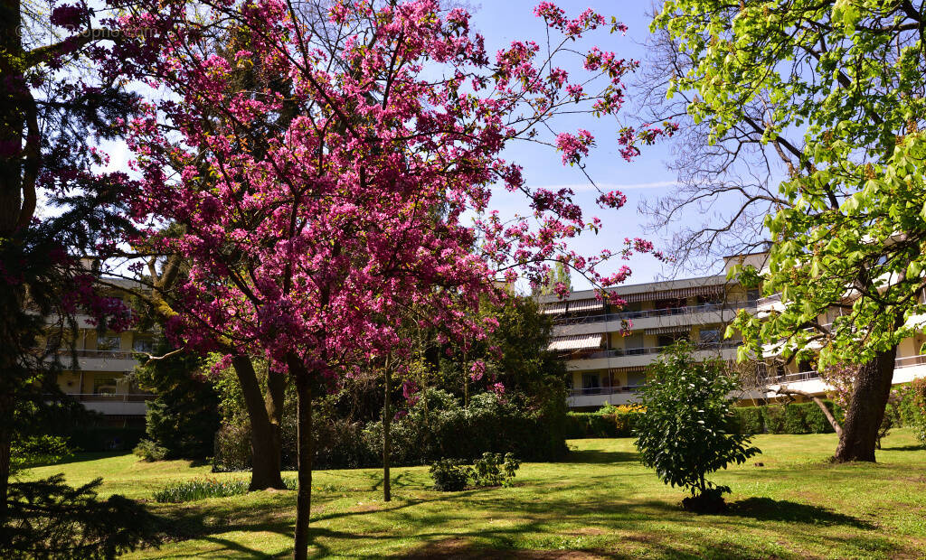 Appartement à TASSIN-LA-DEMI-LUNE