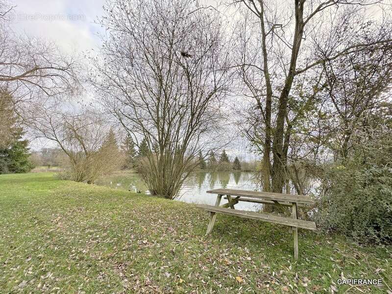 Terrain de loisir avec étangs proche de la Ferté-Bernard (72400) - photo 6
