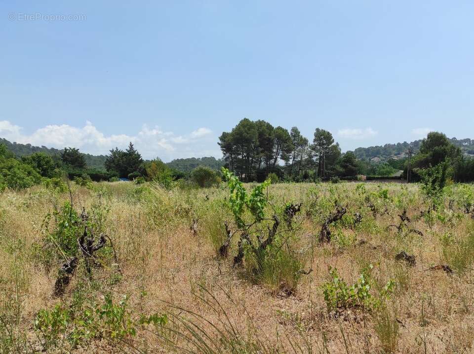 Terrain à GAREOULT