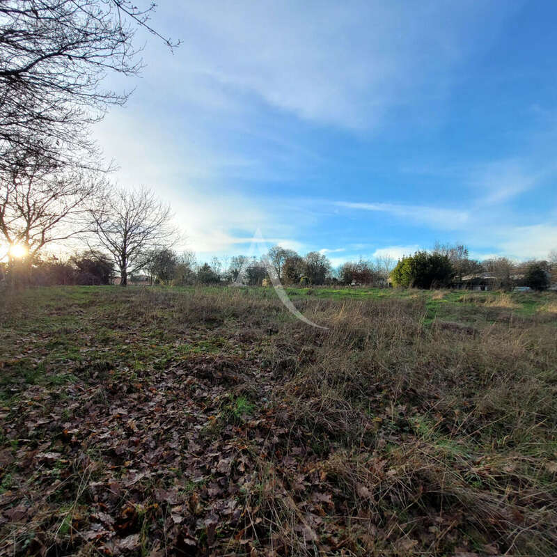 Terrain à LE CHAMP-SAINT-PERE