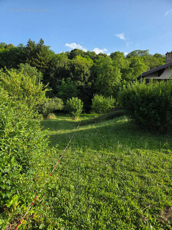 Terrain à BETTANT