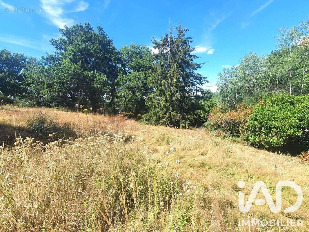 Terrain 1103 m² à Saint-Vincent-Sur-Graon  - photo 9