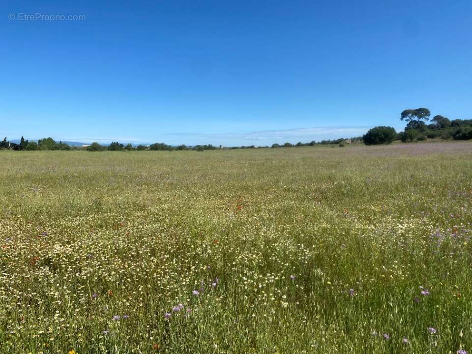 Terrain à BESSAN