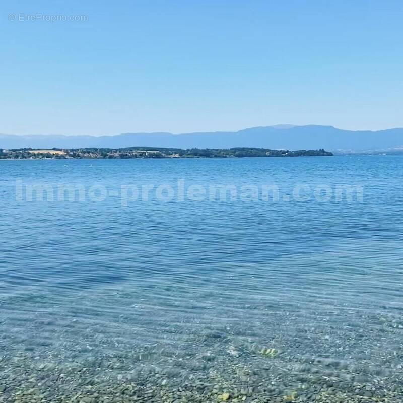 IMG_1328 - Terrain à NERNIER