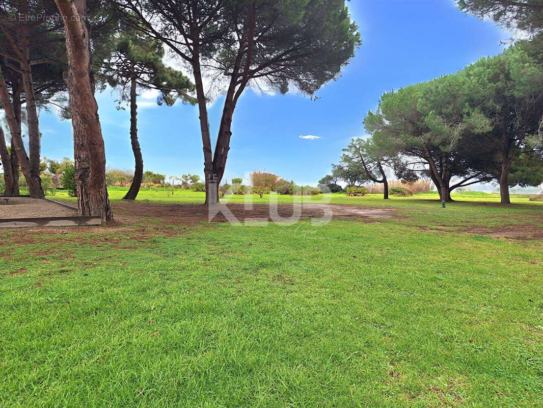 Appartement à POGGIO-MEZZANA