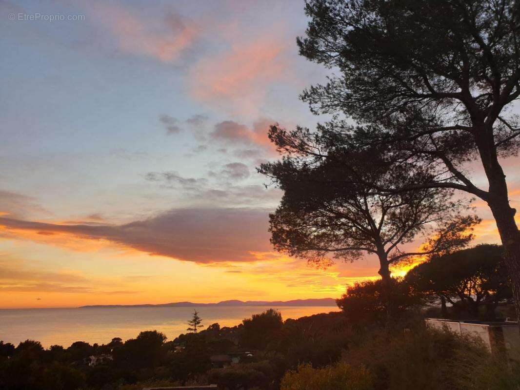 VILLA BALATA Île du Levant • Hyères Acquisition de la nue-propriété - photo 6