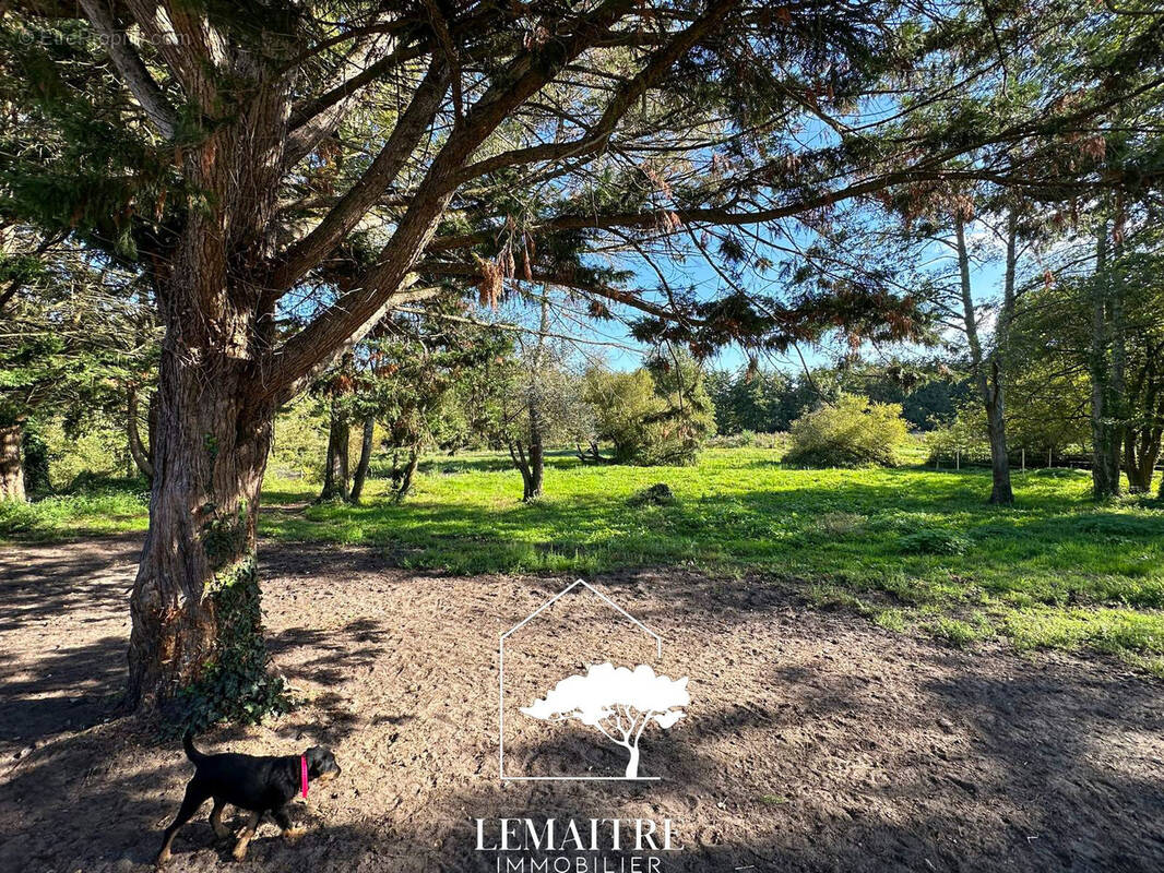 Maison à LES MATHES