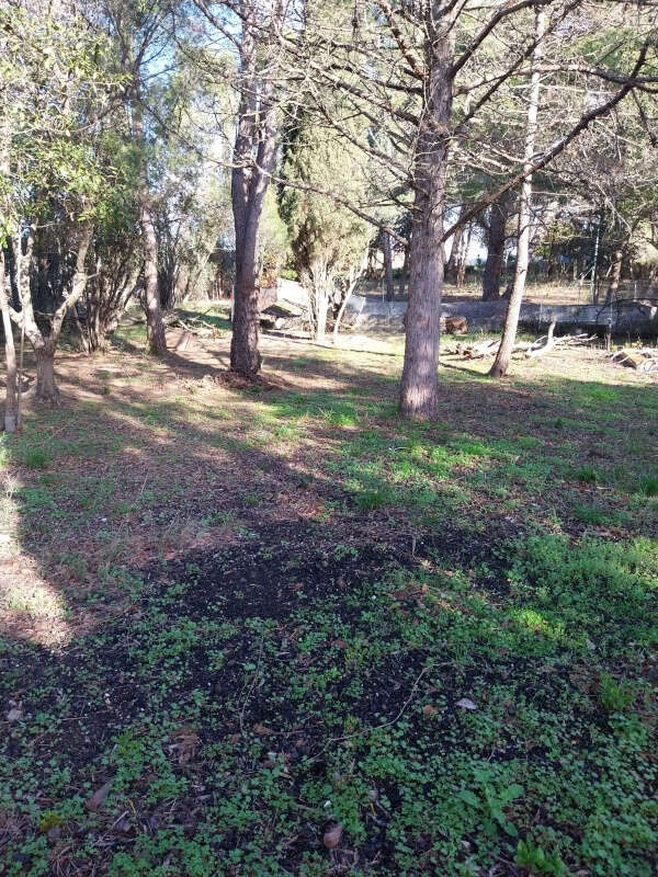 Terrain à OUVEILLAN