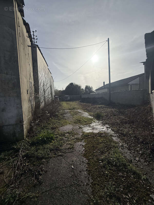 Commerce à SAINT-JEAN-D'ANGELY