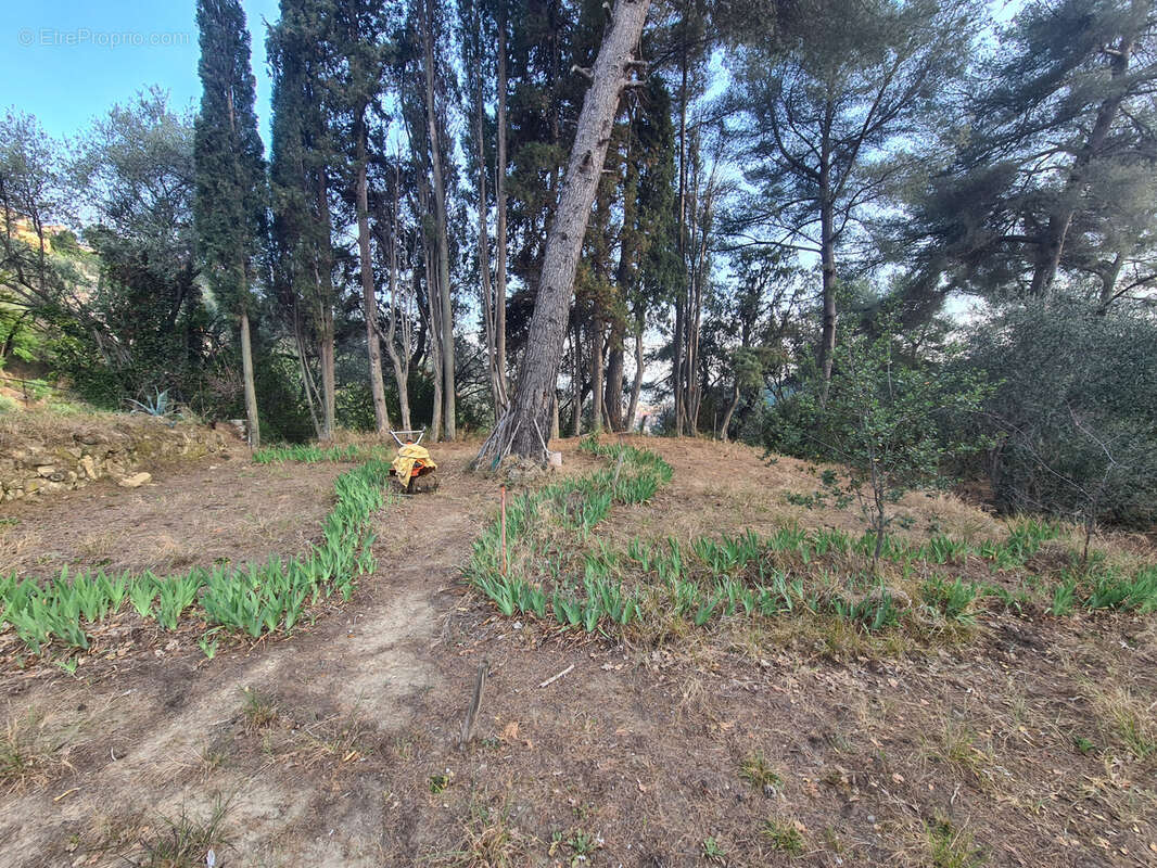 Terrain à MENTON