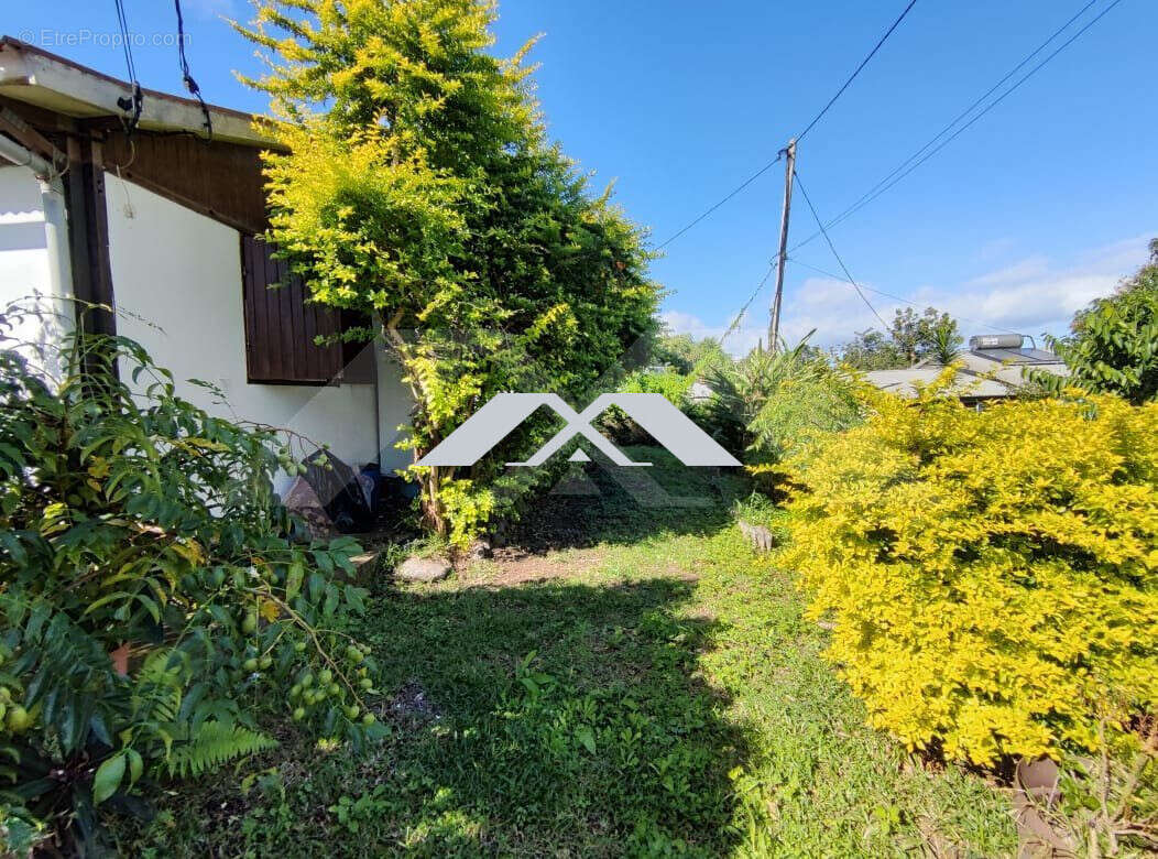 Maison à SAINT-LOUIS