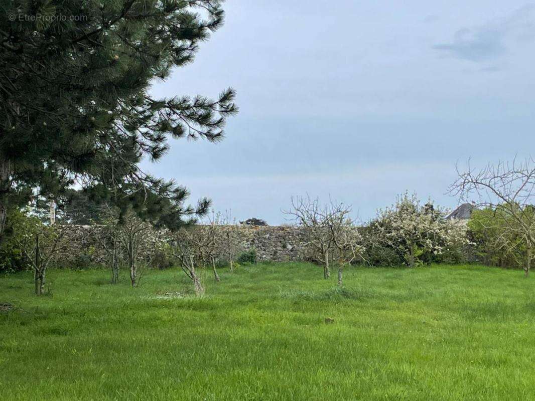 Maison à SAINT-COULOMB