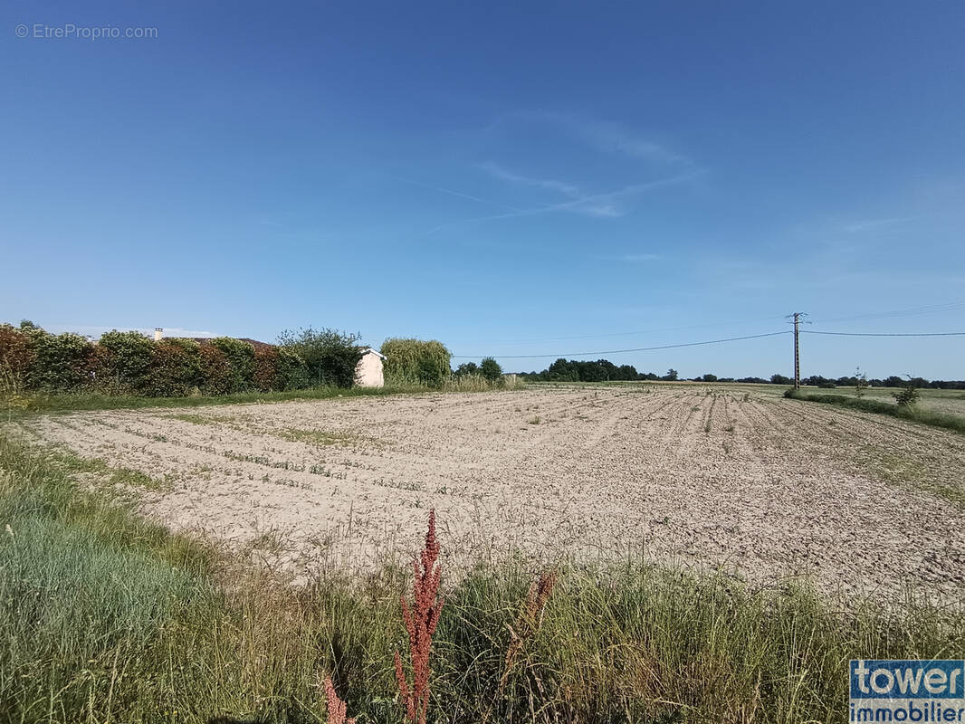 Terrain à BRESSOLS