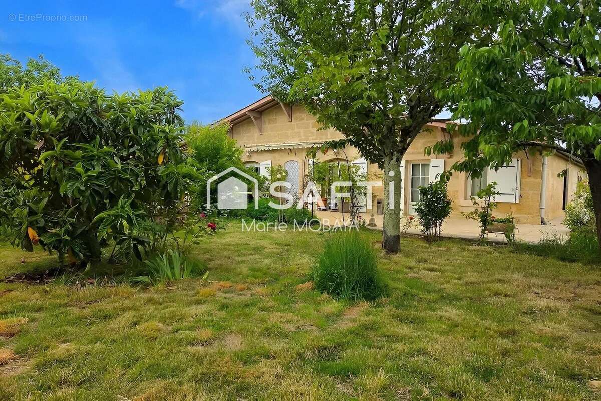 Maison 250 m² à Saint-Vincent-De-Paul  - photo 7