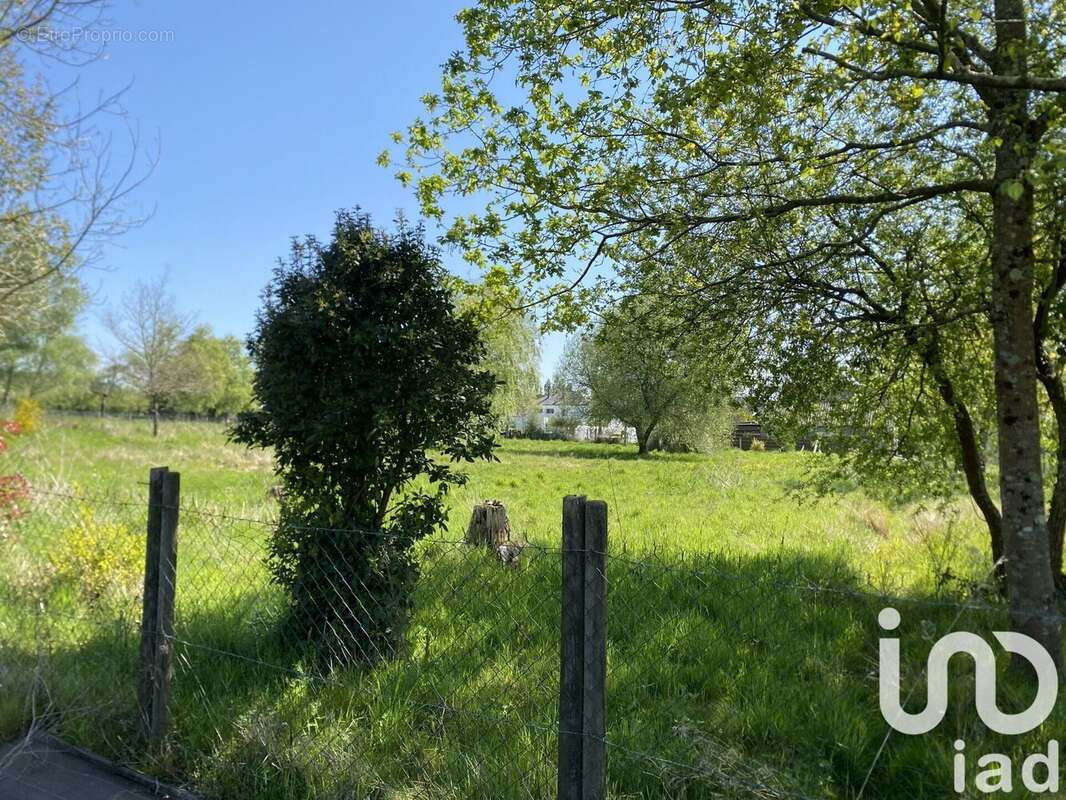 Photo 4 - Terrain à SAINTE-ANNE-SUR-BRIVET