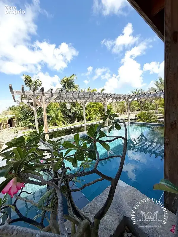 piscine et bassin poissons
