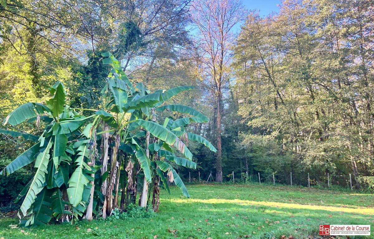 Maison à SAINT-ANDRE-DE-CUBZAC