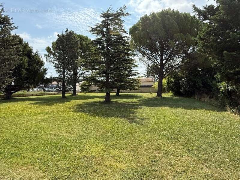 Maison à ALTHEN-DES-PALUDS