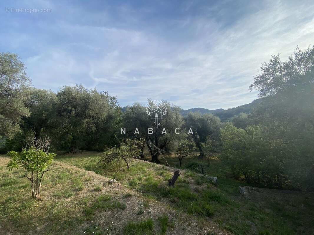 Terrain à LE BAR-SUR-LOUP