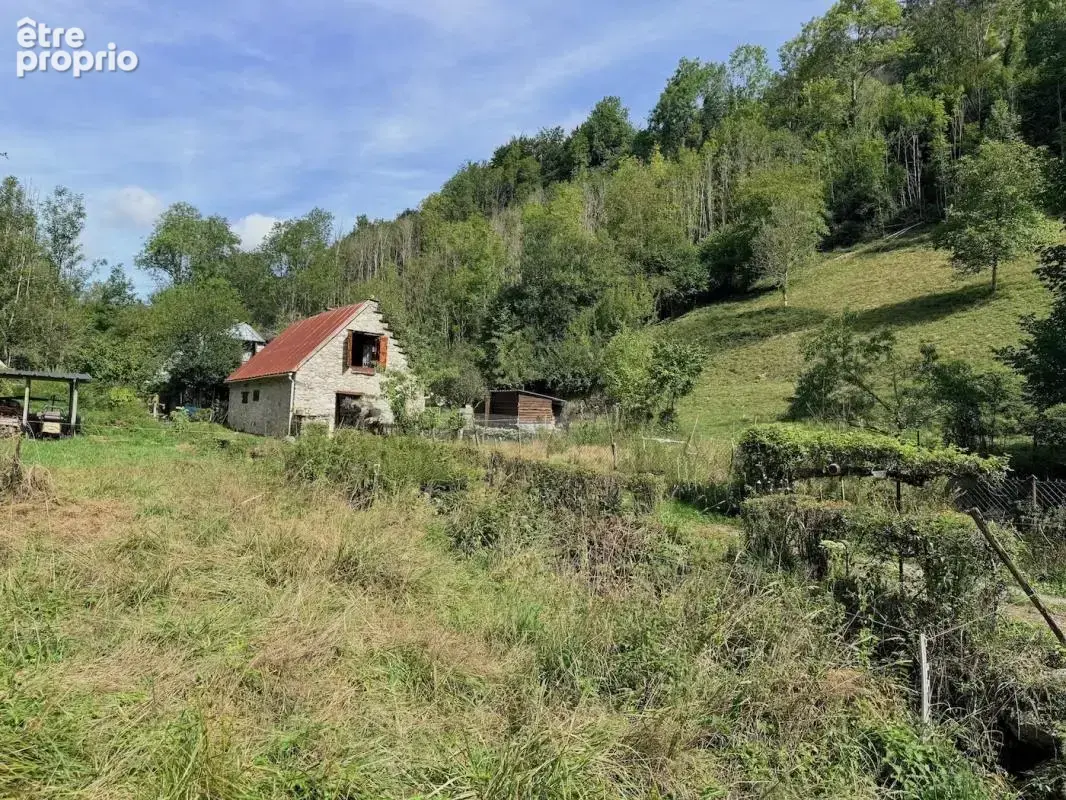 Bergerie de montagne habitable – Vallon préservé, ruisseau et vue forêt - photo 2