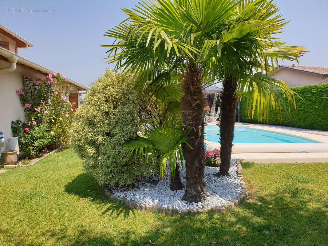 Maison à SAINT-PAUL-LES-DAX