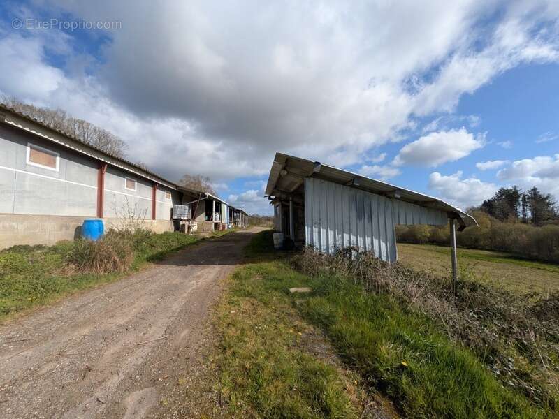Kernascleden propriété composée d'une maison à usage d'habitation de 6 pièces 178 m² envion un hangar de 161m² envion, une ancie - photo 30