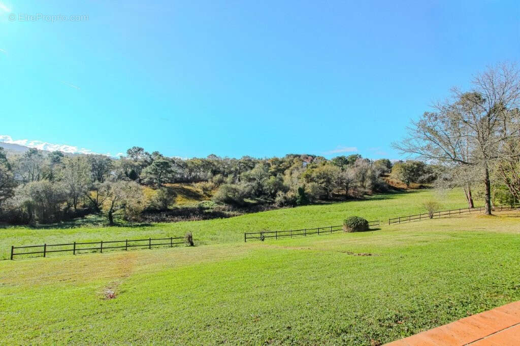 Maison à BASSUSSARRY