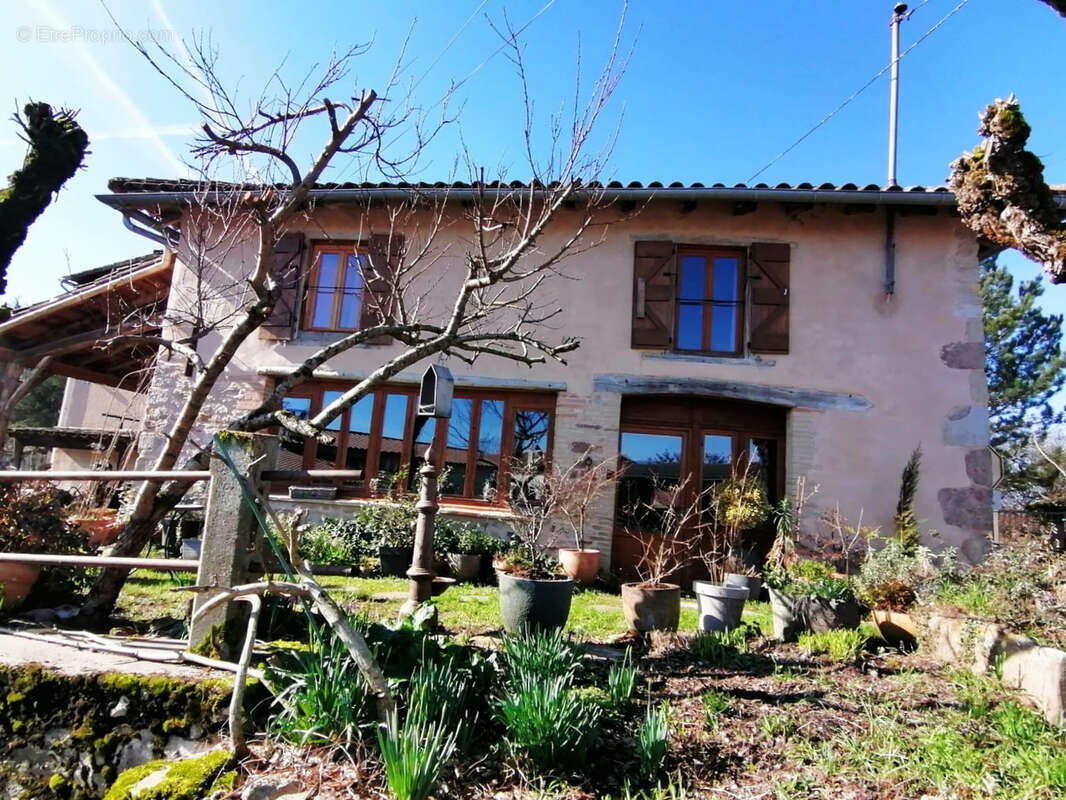 Maison à PUYCELCI