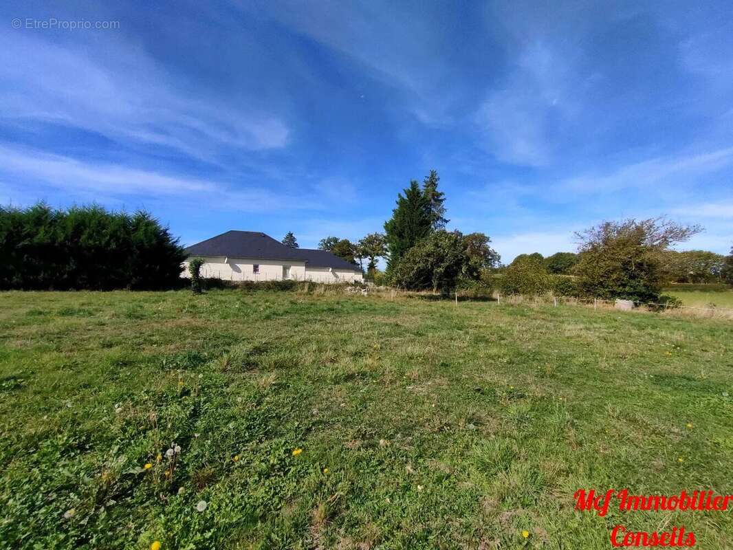 Terrain à COLOMBIES