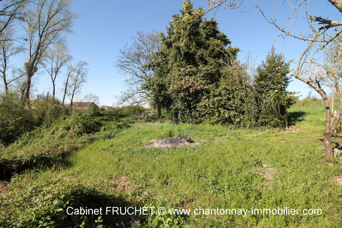 Maison à SAINT-CYR-DES-GATS