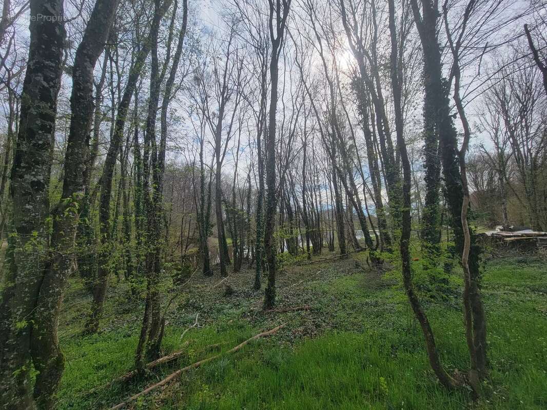 Terrain à LE CHAUTAY