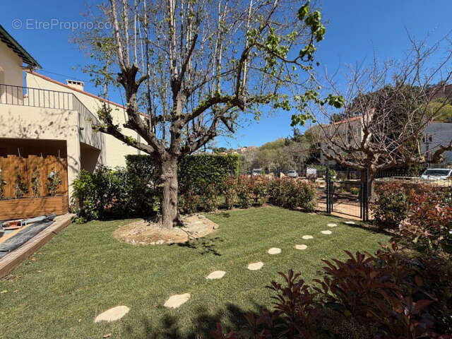 Appartement à COLLIOURE