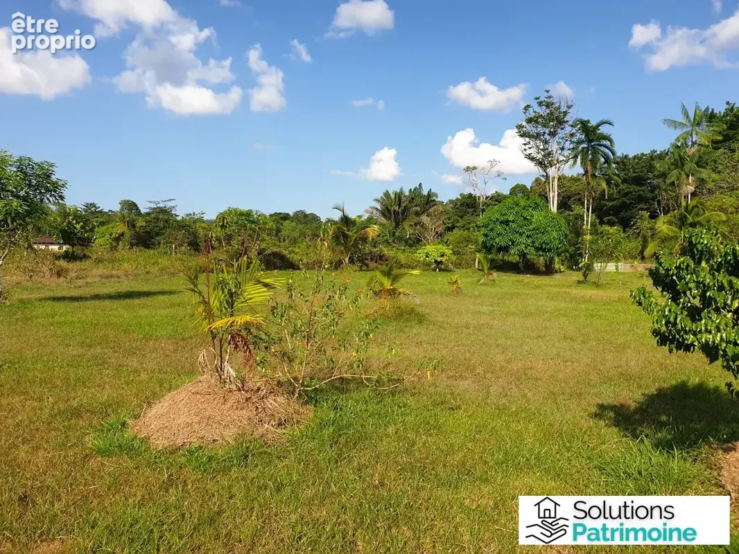 Terrain à vendre à Roura (97311) - photo 5