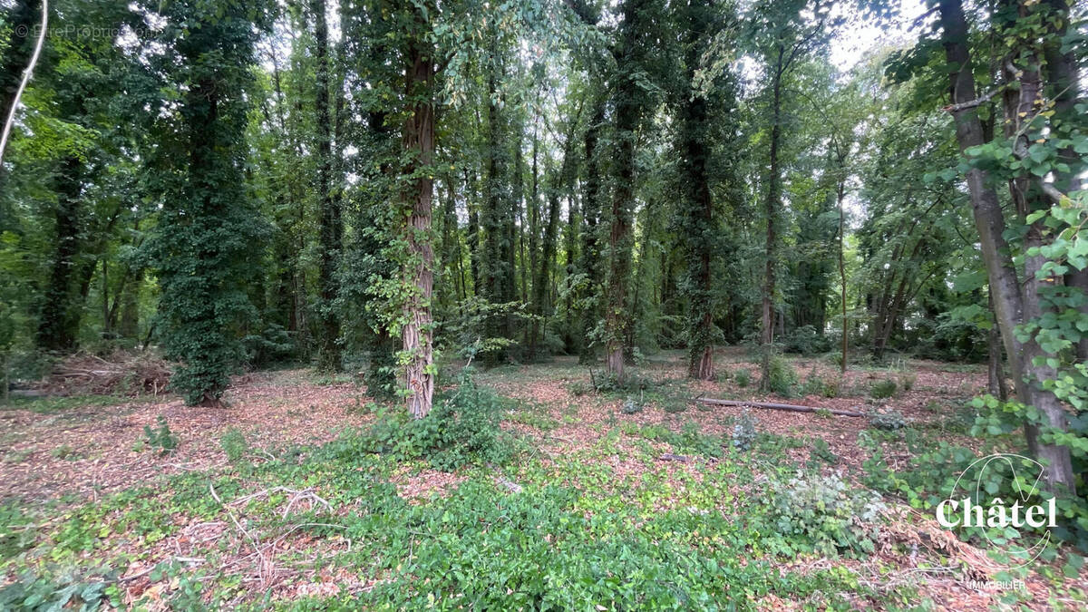 Terrain à GOUVIEUX