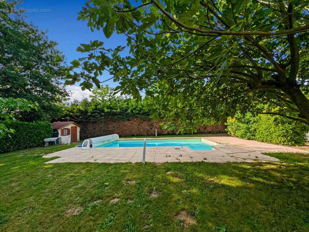 Maison 200 m² à Messimy-Sur-Saone  - photo 5