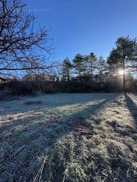 Terrain à SAINT-SAUVEUR
