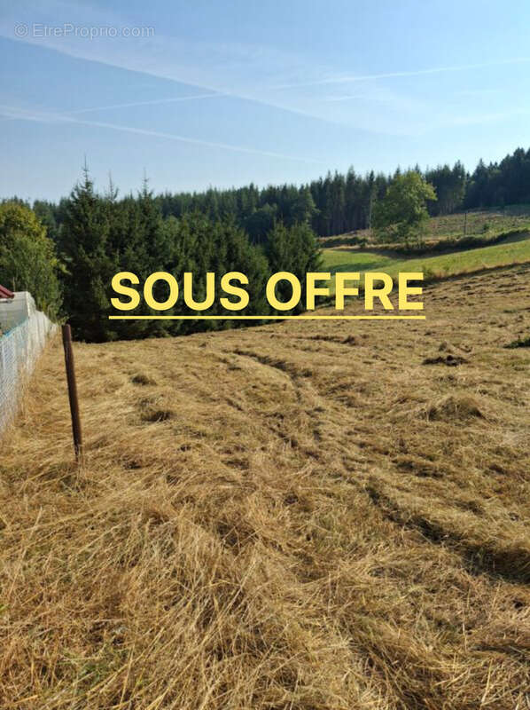 Terrain à SAINT-JUST-MALMONT