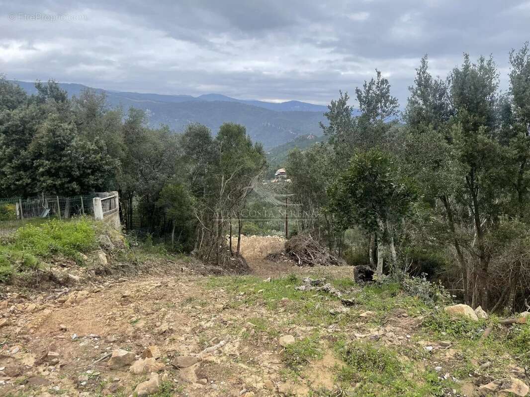 Terrain à SARI-SOLENZARA