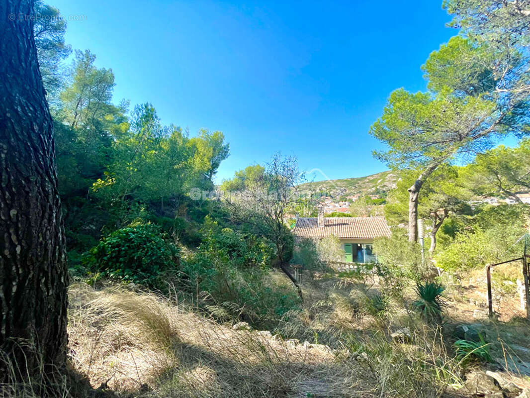 Propriété de 175 m² avec 2 Appartements et 26 000 m² de Terrain - photo 3