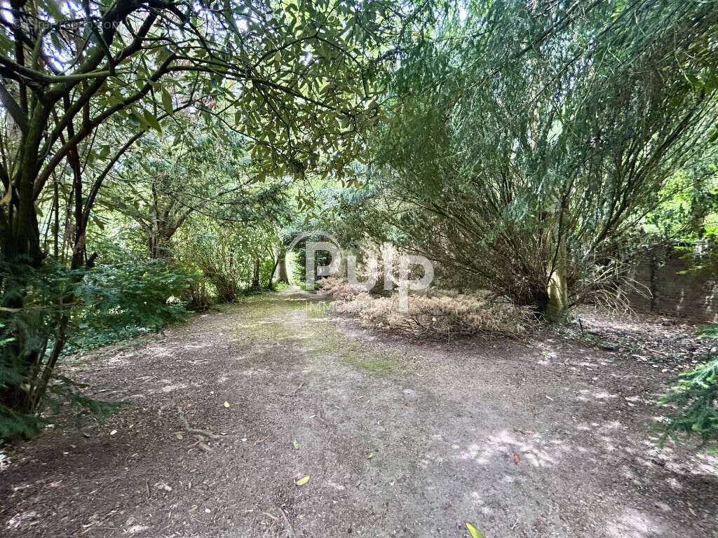 Maison à BULLY-LES-MINES