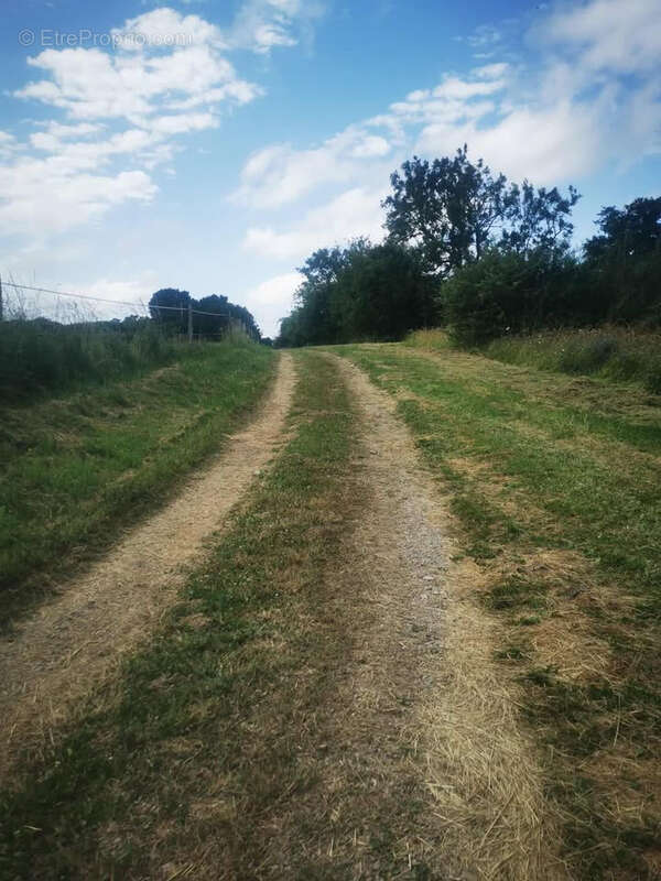 Maison à LA BONNEVILLE
