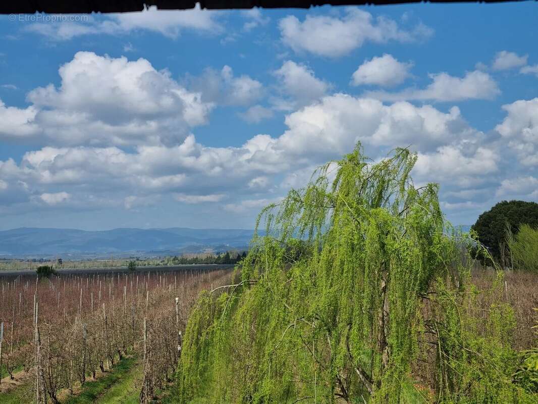 Maison à MARSEILLETTE